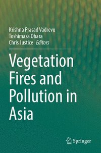 bokomslag Vegetation Fires and Pollution in Asia