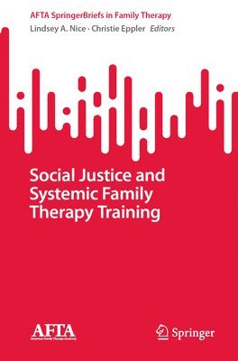 bokomslag Social Justice and Systemic Family Therapy Training