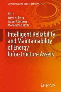 bokomslag Intelligent Reliability and Maintainability of Energy Infrastructure Assets