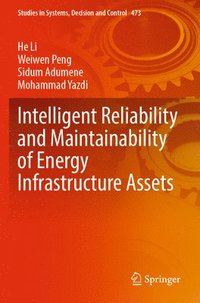bokomslag Intelligent Reliability and Maintainability of Energy Infrastructure Assets