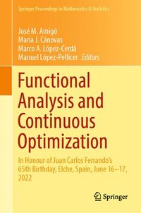 bokomslag Functional Analysis and Continuous Optimization