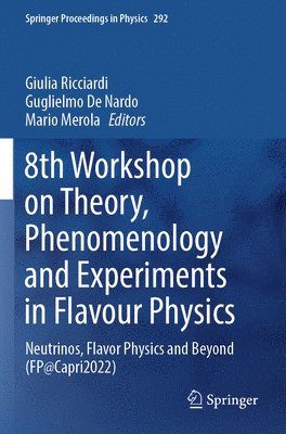 bokomslag 8th Workshop on Theory, Phenomenology and Experiments in Flavour Physics