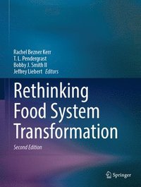 bokomslag Rethinking Food System Transformation