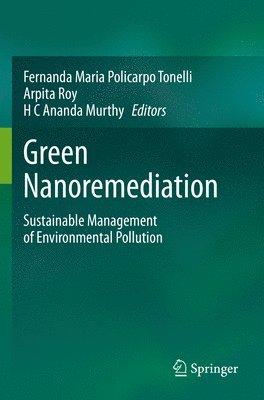 bokomslag Green Nanoremediation