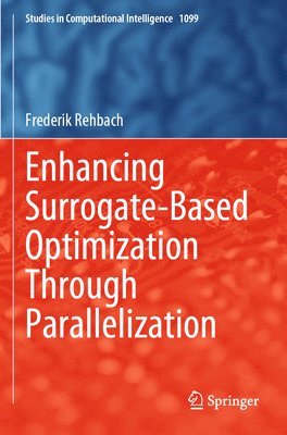 Frederik Rehbach - Enhancing Surrogate-Based Optimization Through Parallelization, Häftad