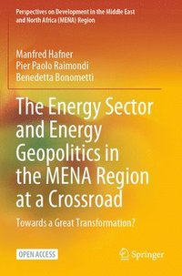 bokomslag The Energy Sector and Energy Geopolitics in the MENA Region at a Crossroad