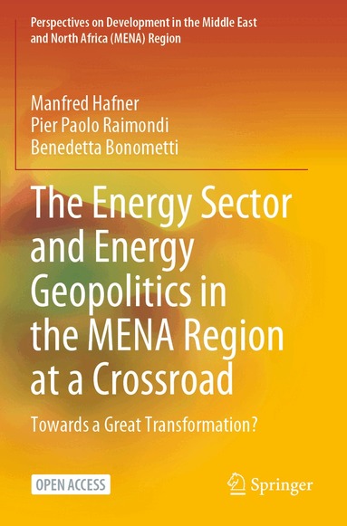 Manfred Hafner, Pier Paolo Raimondi, Benedetta Bonometti - Energy Sector and Energy Geopolitics in the MENA Region at a Crossroad, Häftad