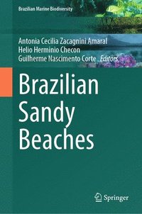 bokomslag Brazilian Sandy Beaches