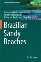 bokomslag Brazilian Sandy Beaches