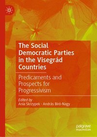 bokomslag The Social Democratic Parties in the Visegrd Countries