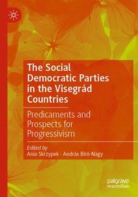 bokomslag The Social Democratic Parties in the Visegrd Countries