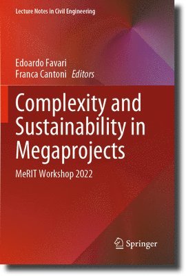 bokomslag Complexity and Sustainability in Megaprojects