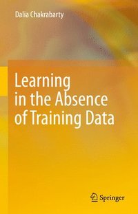 bokomslag Learning in the Absence of Training Data