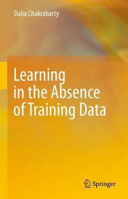 bokomslag Learning in the Absence of Training Data