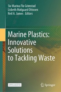 bokomslag Marine Plastics: Innovative Solutions to Tackling Waste