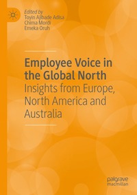 bokomslag Employee Voice in the Global North