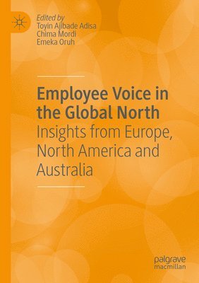 bokomslag Employee Voice in the Global North