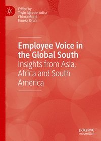 bokomslag Employee Voice in the Global South