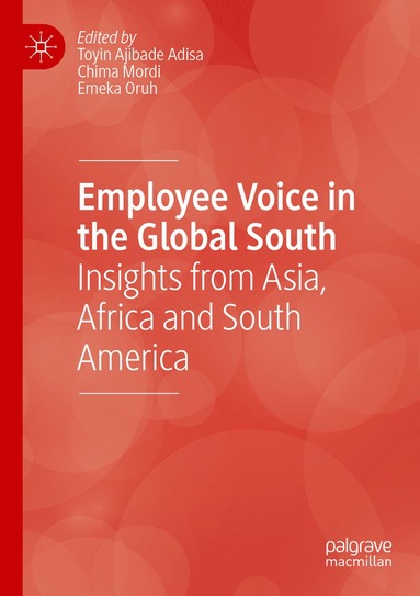 bokomslag Employee Voice in the Global South