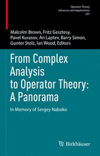 bokomslag From Complex Analysis to Operator Theory: A Panorama