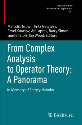 bokomslag From Complex Analysis to Operator Theory: A Panorama