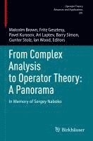 Malcolm Brown, Fritz Gesztesy, Pavel Kurasov, Ari Laptev, Barry Simon, Gunter Stolz, Ian Wood - From Complex Analysis to Operator Theory: A Panorama, Häftad