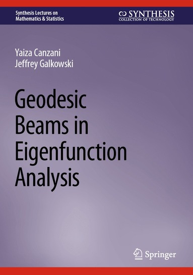 bokomslag Geodesic Beams in Eigenfunction Analysis