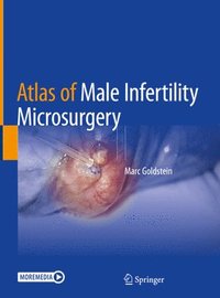 bokomslag Atlas of Male Infertility Microsurgery