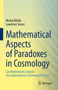 bokomslag Mathematical Aspects of Paradoxes in Cosmology