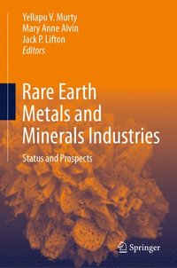 bokomslag Rare Earth Metals and Minerals Industries