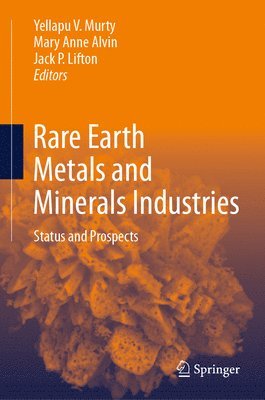 bokomslag Rare Earth Metals and Minerals Industries