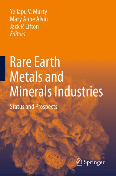 bokomslag Rare Earth Metals and Minerals Industries