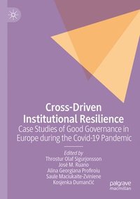 bokomslag Cross-Driven Institutional Resilience