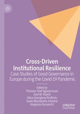 bokomslag Cross-Driven Institutional Resilience