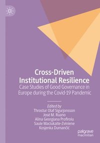 bokomslag Cross-Driven Institutional Resilience