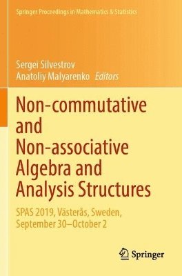 bokomslag Non-commutative and Non-associative Algebra and Analysis Structures