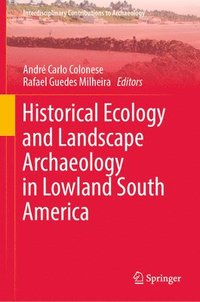 bokomslag Historical Ecology and Landscape Archaeology in Lowland South America