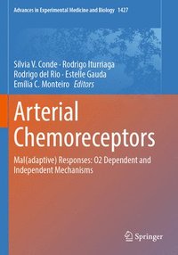 bokomslag Arterial Chemoreceptors