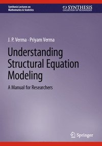 bokomslag Understanding Structural Equation Modeling