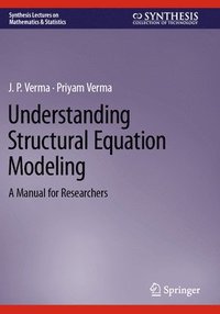 bokomslag Understanding Structural Equation Modeling