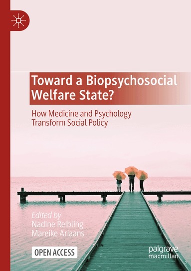 Nadine Reibling, Mareike Ariaans - Toward a Biopsychosocial Welfare State?, Häftad