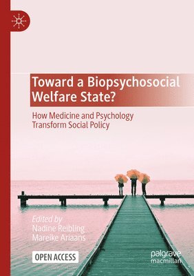 bokomslag Toward a Biopsychosocial Welfare State?