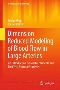 bokomslag Dimension Reduced Modeling of Blood Flow in Large Arteries