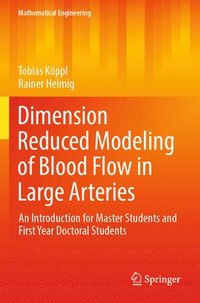 bokomslag Dimension Reduced Modeling of Blood Flow in Large Arteries