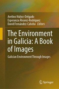 bokomslag The Environment in Galicia: A Book of Images