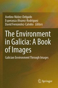 bokomslag The Environment in Galicia: A Book of Images