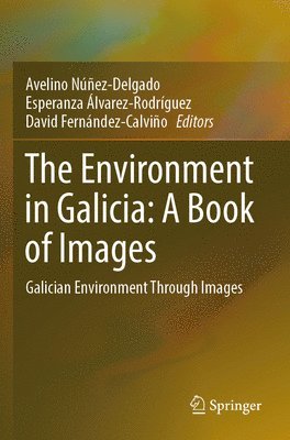 Avelino Núñez-Delgado, Esperanza Álvarez-Rodríguez, David Fernández-Calviño, Avelino Nunez-Delgado, Esperanza Alvarez-Rodriguez, David Fernandez-Calvino - Environment in Galicia: A Book of Images, Häftad