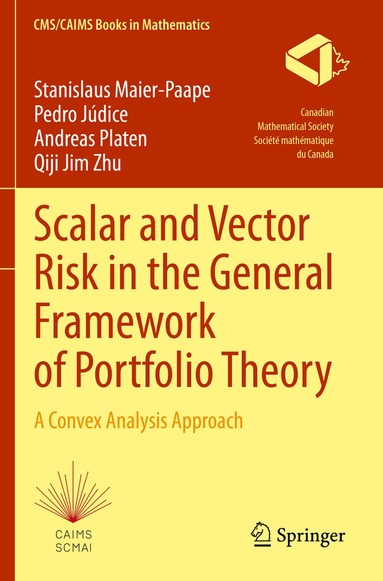 Stanislaus Maier-Paape, Pedro Júdice, Andreas Platen, Qiji Jim Zhu - Scalar and Vector Risk in the General Framework of Portfolio Theory, Häftad