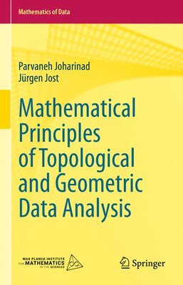 Mathematical Principles of Topological and Geometric Data Analysis 1