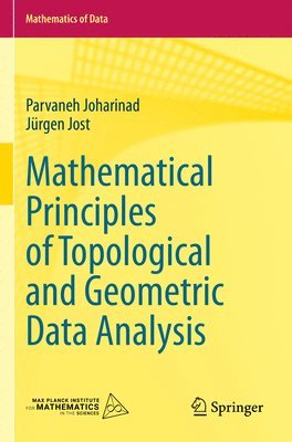 Parvaneh Joharinad, Jürgen Jost, Jurgen Jost - Mathematical Principles of Topological and Geometric Data Analysis, Häftad